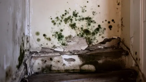 Pismo do wspólnoty mieszkaniowej o remont wzór
