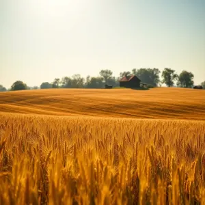 rolnicy z podlasia nowe odcinki